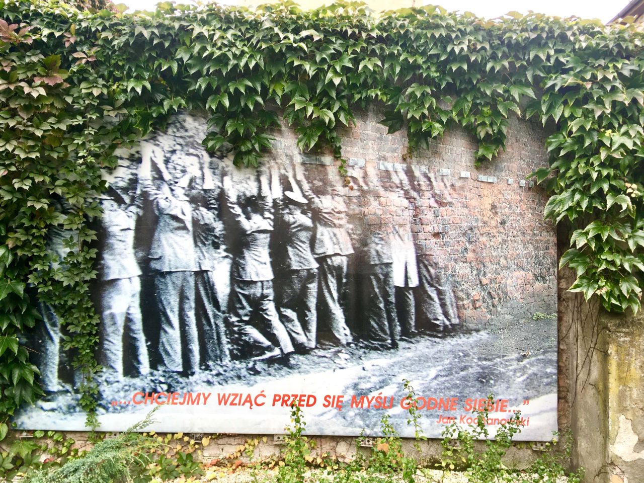 The photograph showing the surrendered postal workers against the wall