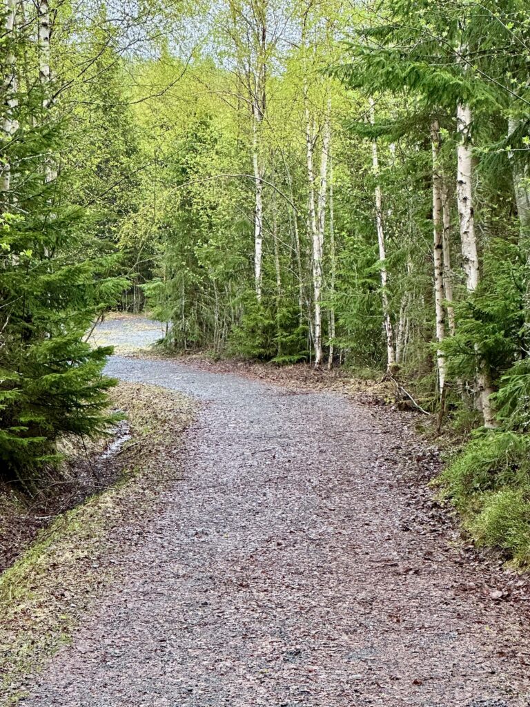 Wheelchair accessible paths in Skuleskögen National Park