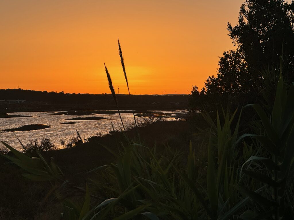 Evening light on the nature reserve in Lagos, Algarve